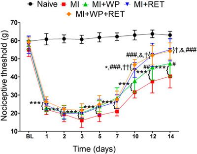 Resistance Exercise and Whey Protein Supplementation Reduce Mechanical Allodynia and Spinal Microglia Activation After Acute Muscle Trauma in Rats